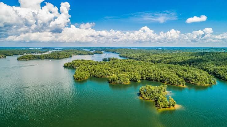 Lake Martin, Alabama — local scenery.