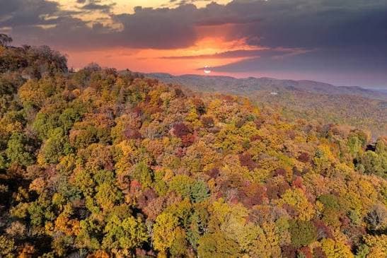 Oak Ridge, North Carolina — local scenery.